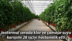 Jeotermal serada klor ve çamaşır suyu karışımı 28 işçiyi hastanelik etti